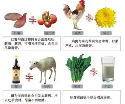 某编辑告诉我,最近食物相克之说沉渣泛起,各健康媒体争相撰稿.
