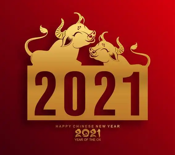 矢量2021新年