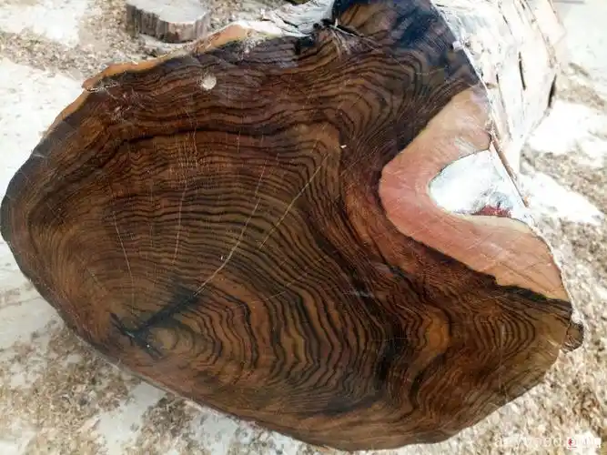 贵州黄花梨木 - 批木网