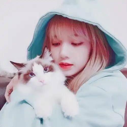 lisa头像blackpink出道日倒计时5天