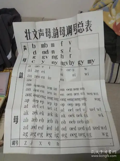 壮文声母,韵母,调号总表