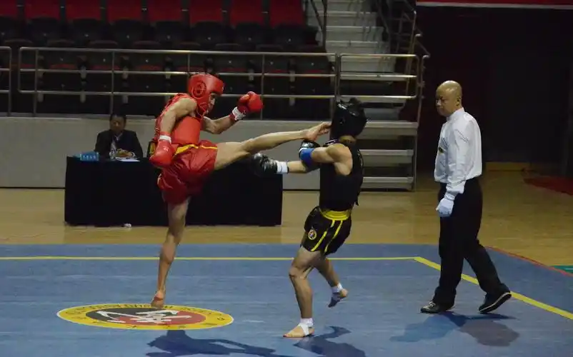 东润杯全国散打邀请赛团体决赛片段 - 秋杨 - 秋杨