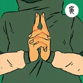 火影忍者十二小强教你忍术结印和十二生肖一一对应