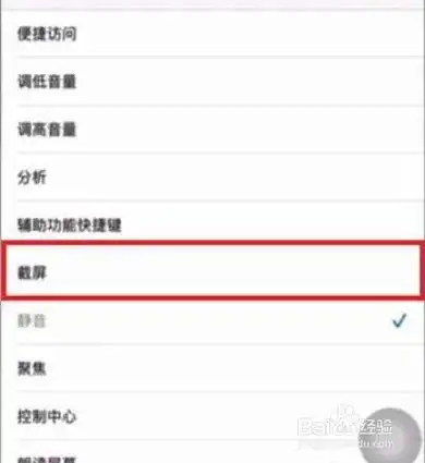 苹果12怎么设置截屏