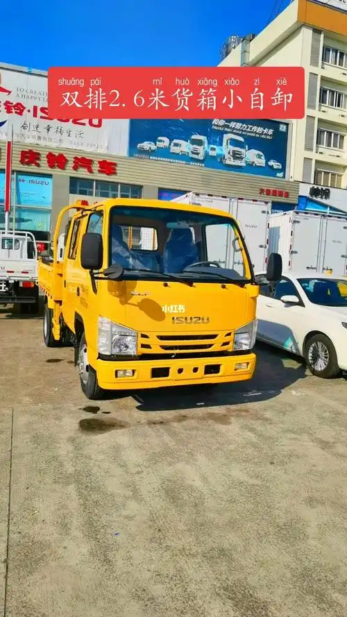 五十铃双排小自卸