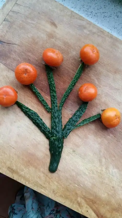 创意手工——"我爱蔬菜和水果"用蔬菜水果拼摆出各种各样的造型