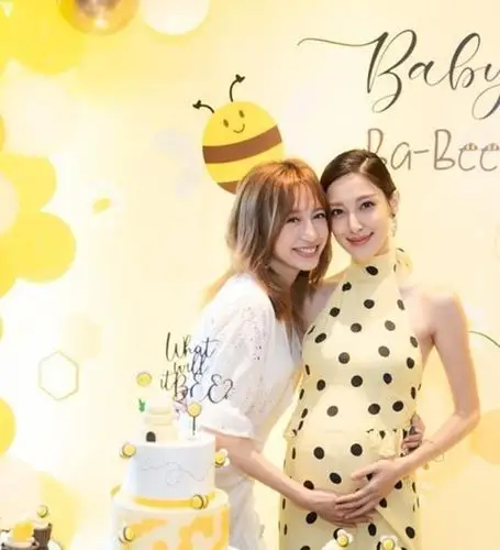 陈凯琳晒绝美婚纱照为龚嘉欣造势,怀有2胎也依然美丽,大饱眼福