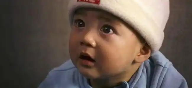 宝贝计划电影剧情「梳理」 _晶羽科技