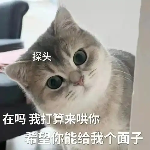 探头在吗我打算来哄你希望你能给我个面子我个探头面子表情