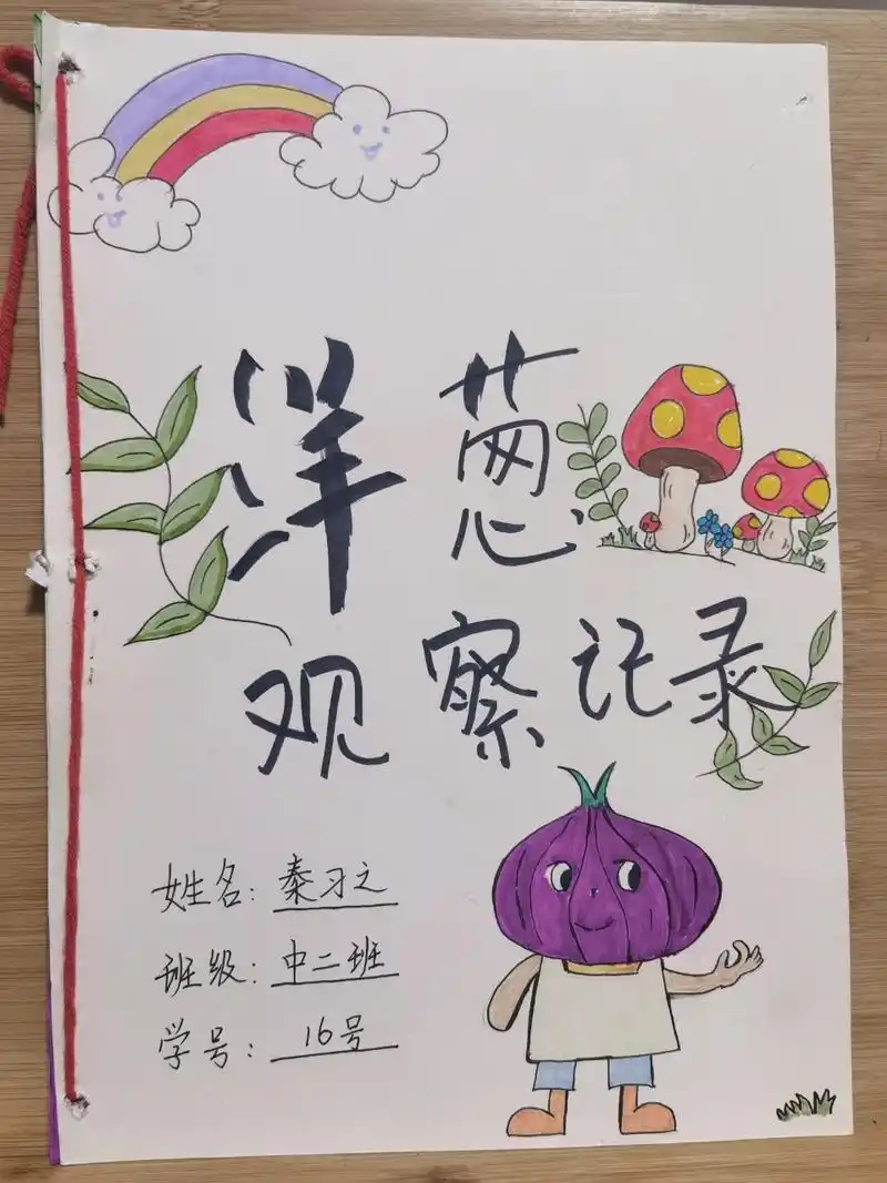 洋葱生长观察记录表