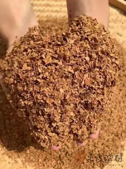 东北黄烟六道沟夹皮沟黄烟旱烟