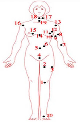 女人全身痣相图解大全