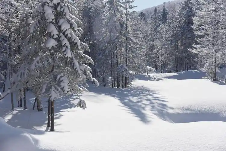 雪乡国家森林公园冬日美景