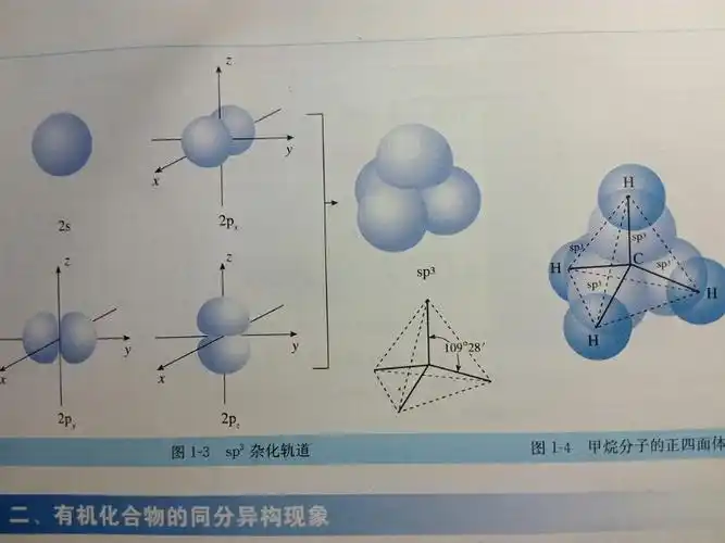 碳原子sp杂化后,得到四个相同的轨道,那四个相同的轨道是什么,就