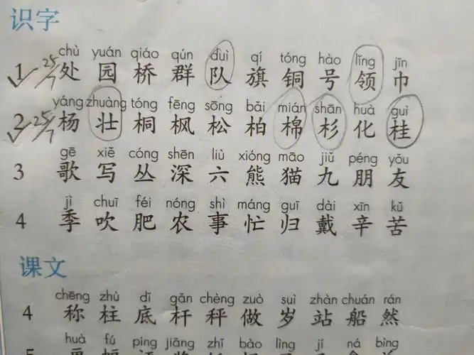 上午听写了两课的生字,自己写组词.