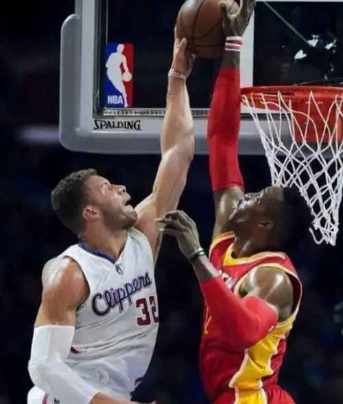 格里芬是正常臂展为何被叫短芬这5张照片能给你答案