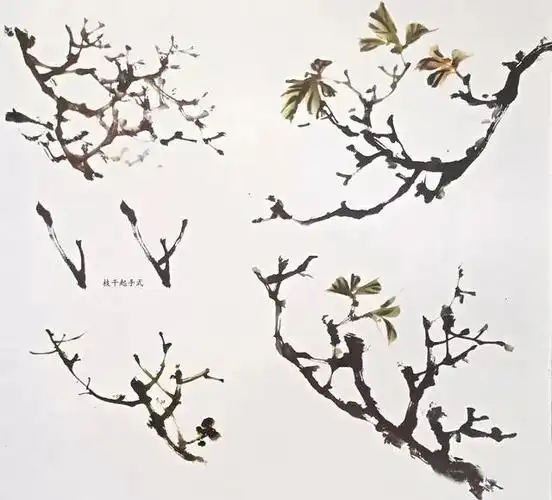 国画教程写意木棉花的画法