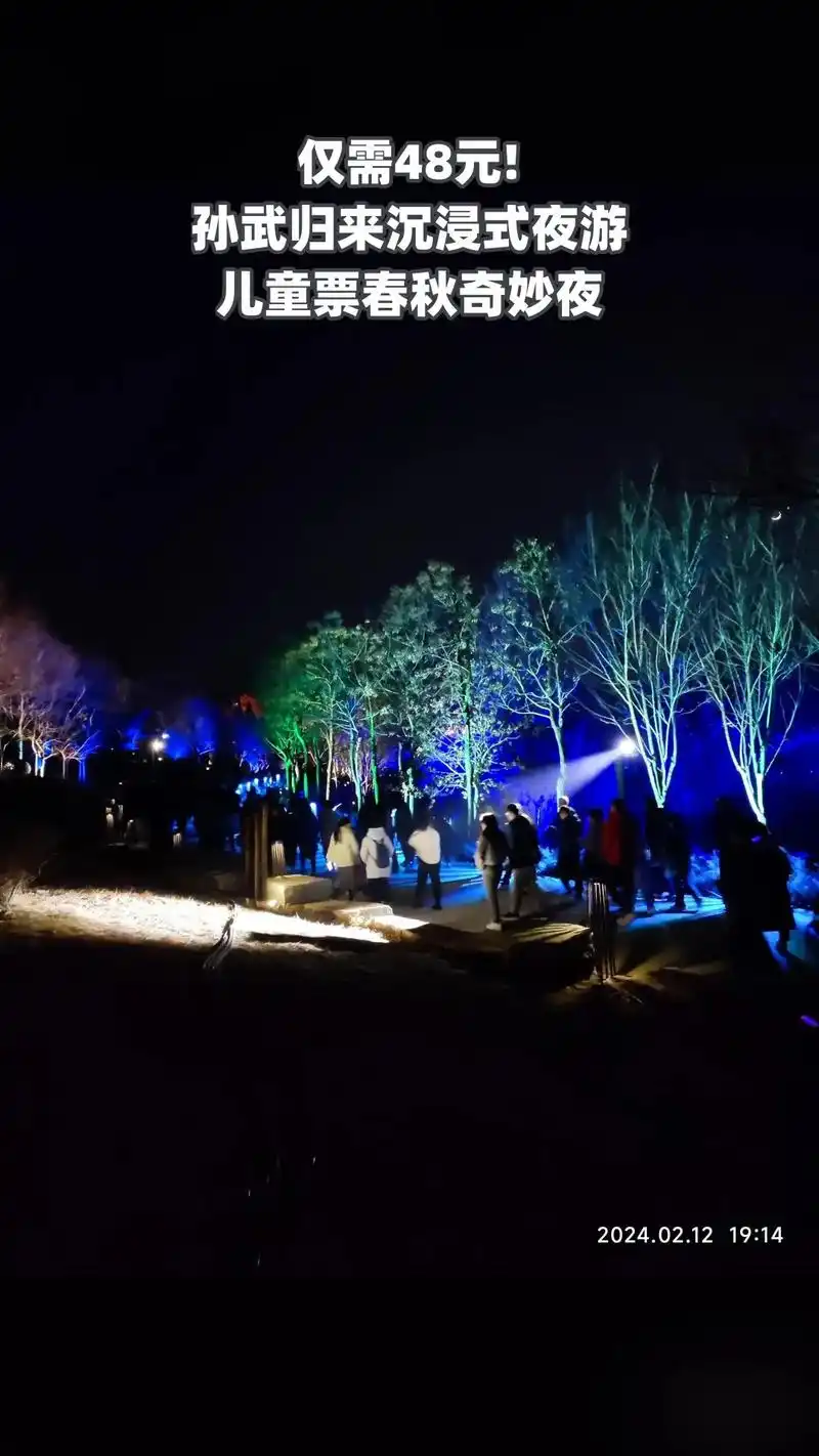 孙武归来沉浸式夜游,爆款来袭,限时优惠,4.4分推荐,儿童票 - 抖音