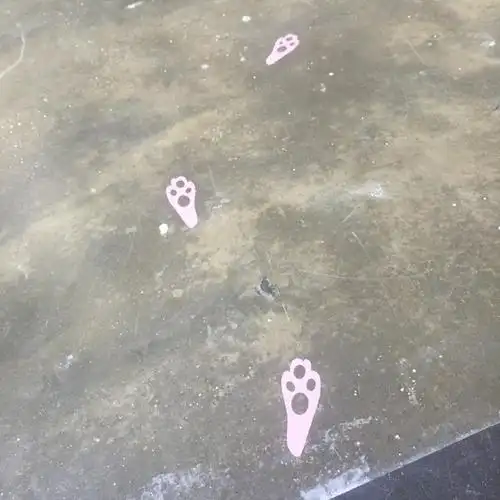 这个细节设计是最爱的 上二楼之后一小段兔爪印超级萌