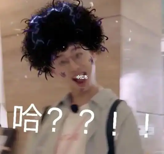 学分的激动谁能懂