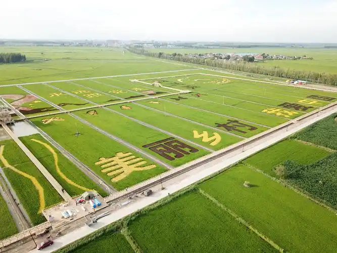 魅力孤家子镇绿色稻米现代农业产业园欢迎您 - 美篇