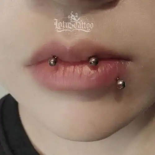 唇上横穿非本人作品#穿刺  #穿孔  #唇钉  #唇侧钉#昆明穿孔  #重庆
