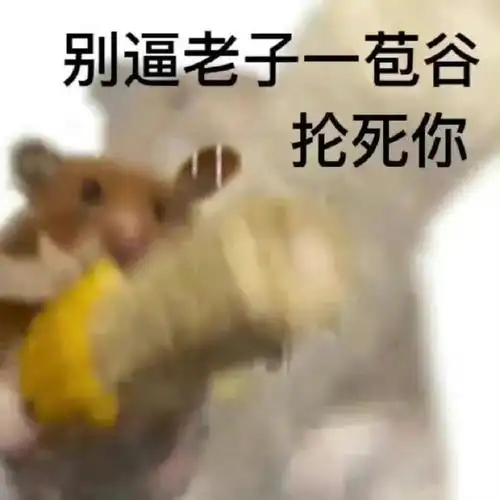 可爱骂人表情包 持续发疯的一天