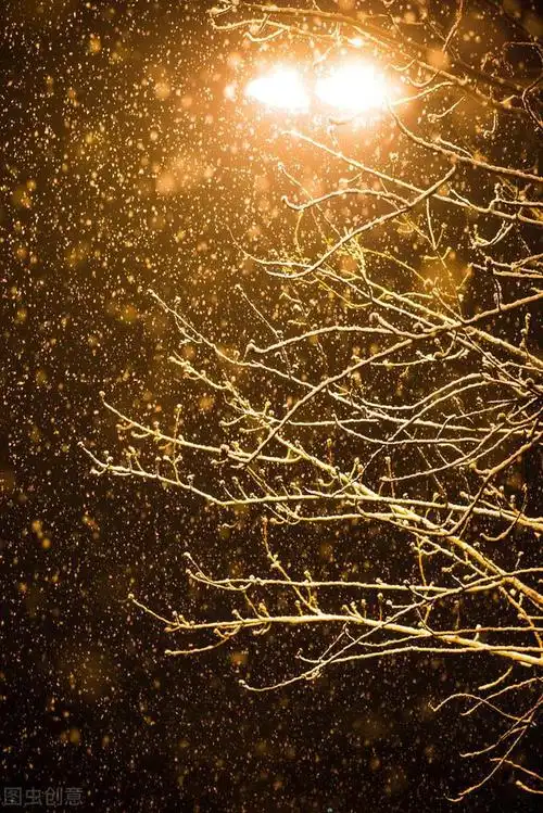 下雪啦冬日唯美雪景图片一起欣赏雪中浪漫的意境