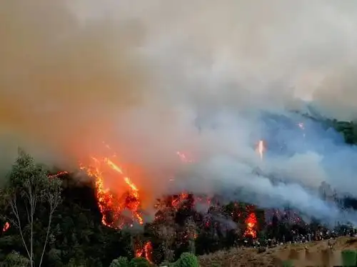 急!安宁青龙山火烧到禄丰!火场中逆行的英雄们一直坚守,义无反顾!_森