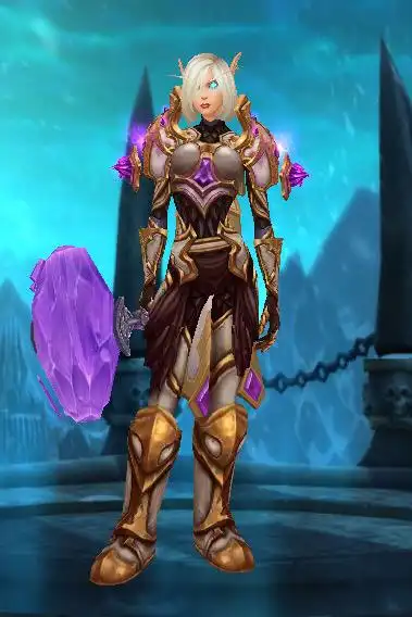 女血精灵圣骑士幻化