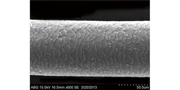 健康头发:毛鳞片顺滑平整,秀发焕现丝滑强韧.
