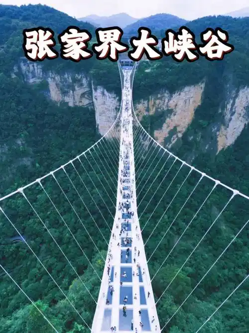 世界公路奇观,玻璃栈道等天门山景区门票:淡季成人13