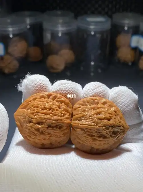 35尺小寿桃核桃