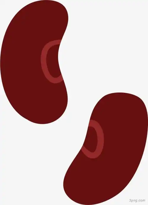 新鲜红豆png素材透明免抠图片卡通手绘