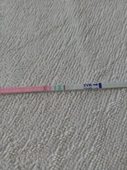 怀孕后的排卵试纸是这样的哦