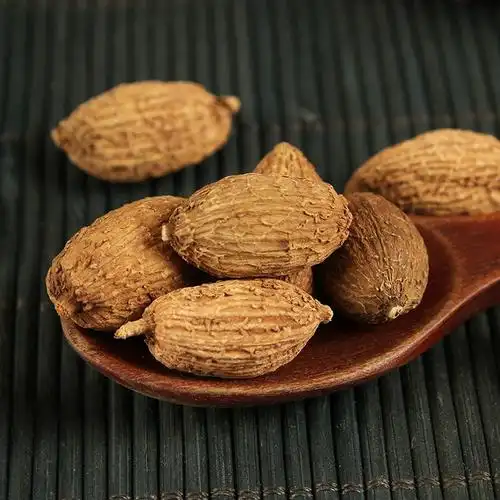 春砂干果500g生晒原生态新鲜500克包邮沙砂仁