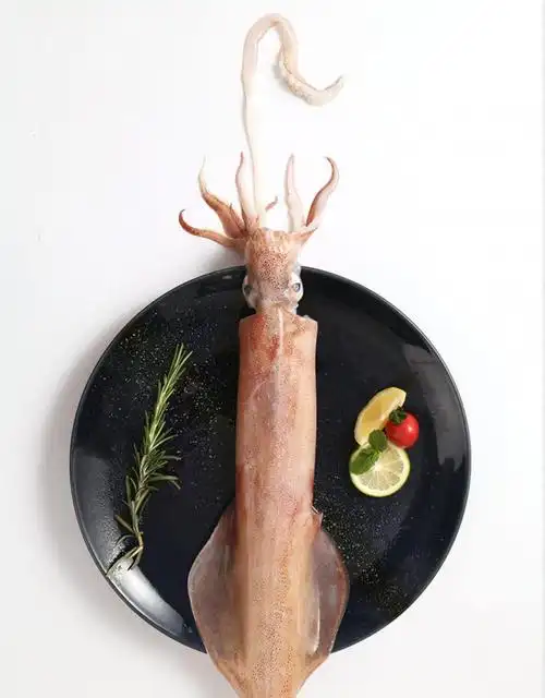 鱿鱼 福建近海生手钓鱿鱼 450g*2鲜活冷冻大海钓大管枪乌贼