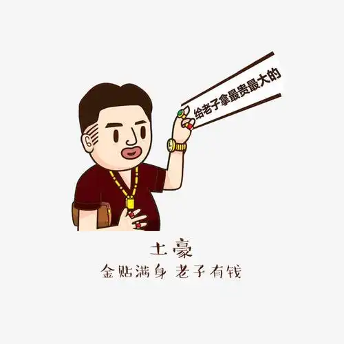 土豪金贴满身老子有钱