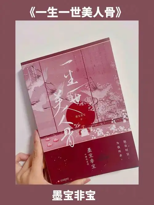 书单一生一世美人骨墨宝非宝