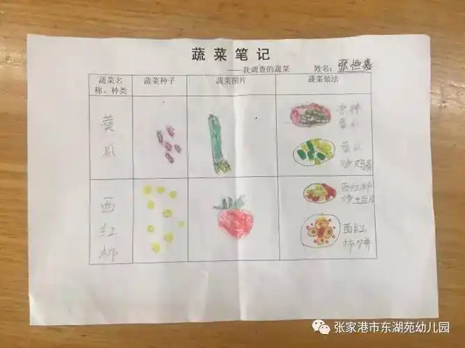 嘉嘉和妈妈一起观察西红柿,青菜的种子,再拿起彩笔画一画,记录下来.