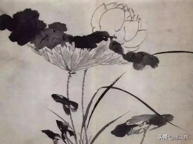 徐渭杂花卷之一作品赏析