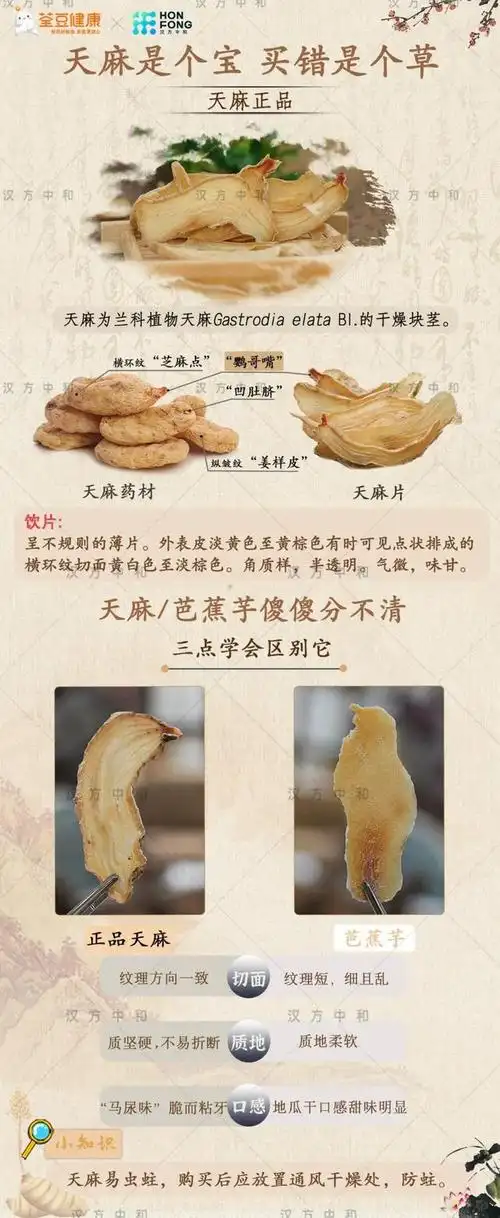 中药鉴别丨如何区分真假天麻