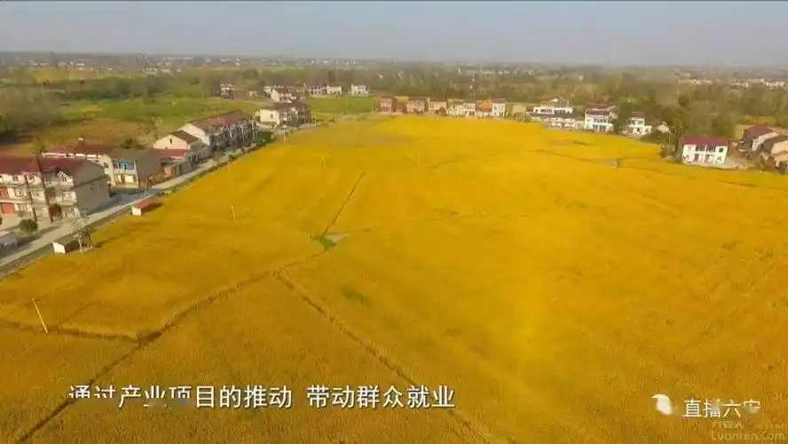 系列报道走进乡村看小康舒城县张母桥镇产业兴乡村美