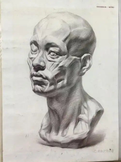 四分之三肌肉头像