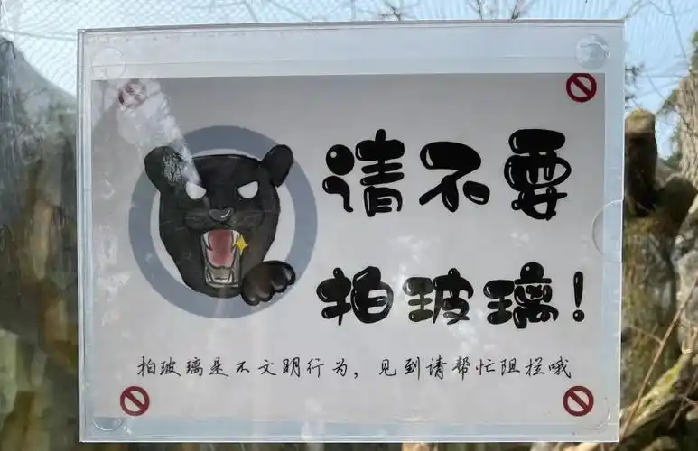 专题动物园是原罪还是赎罪