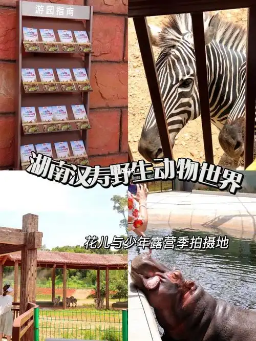 湖南汉寿野生动物世界一定不要错过哟