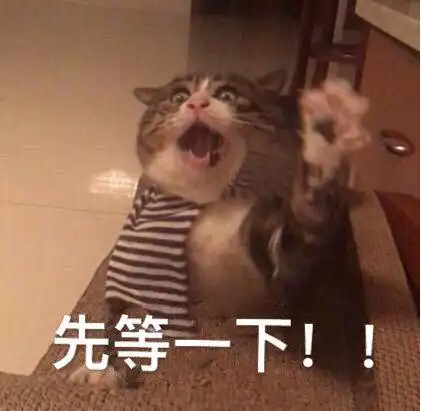 萌宠喵星人先等一下等等呆萌可爱gif动图_动态图_表情包下载_soogif