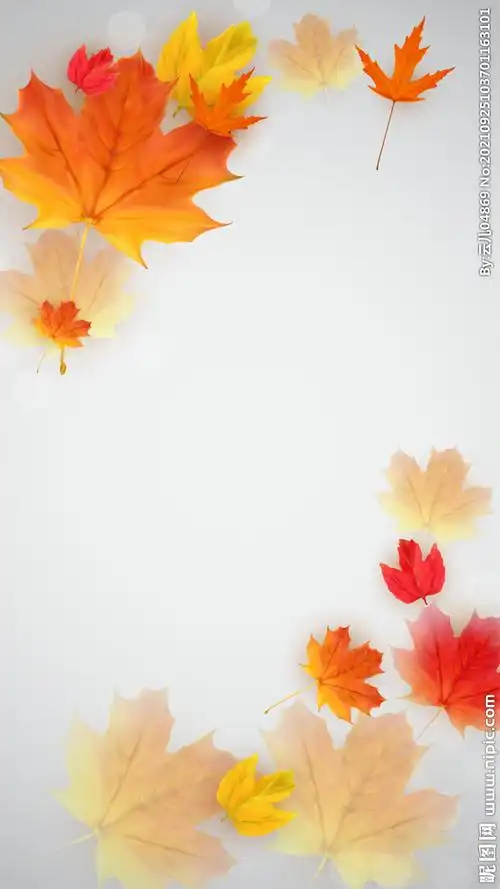 枫叶背景 设计图__其他_广告设计_设计图库_昵图网nipic.com