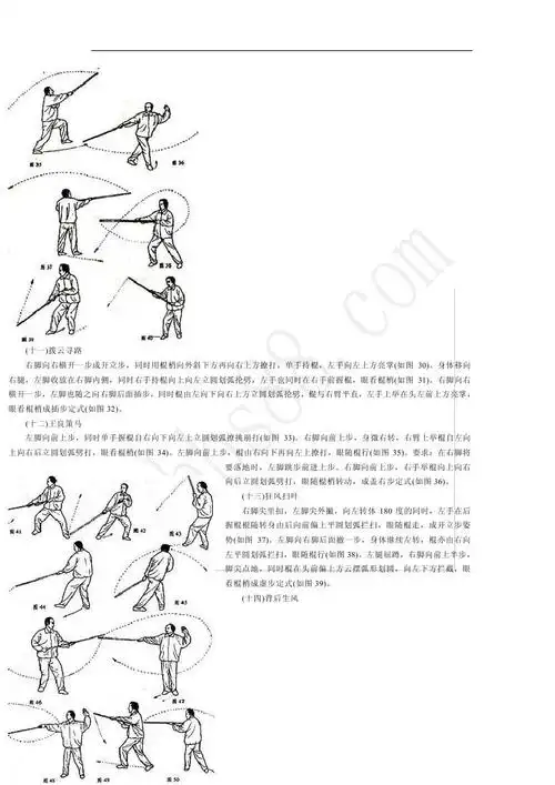 猴棍——肖为鹏 夺命短棍速成法 龙虎棍绝杀秘技 内家棍法绝技"柳条子