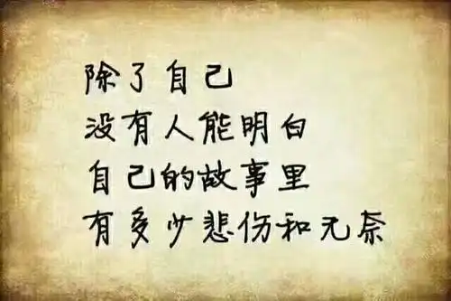 自己的悲伤和无奈别人是不会明白的.